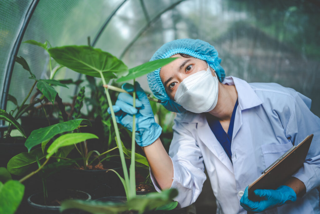 Fertilizante orgánico para jardinería